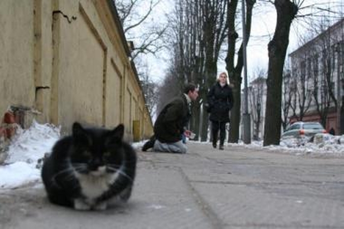 Už meilę gyvūnams - netikėtai gauta bauda
