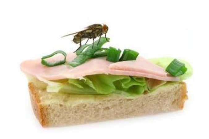 Pavojus: musės kojytėmis perneša bakterijas, todėl jomis gali užkrėsti maistą.
