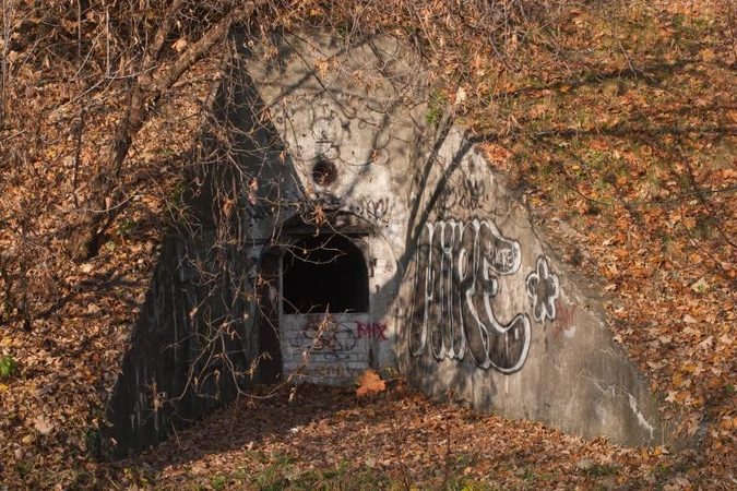 Istoriniai              bunkeriai virs kotedžais?
