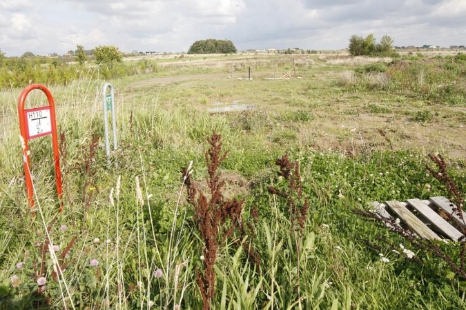 Kuriozas: viešų aukcionų viešinti      neprivalo  