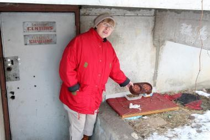 Daugiabučio kaimynus kiršina katės