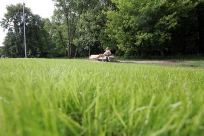 Girininkai vejami iš Vilniaus savivaldybės