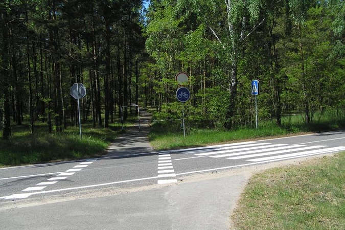 Kelininkai apie savadarbę perėją Smiltynėje: nei velnias, nei gegutė