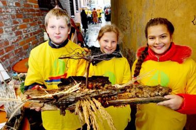 Iš ekolaivo – į tikrą