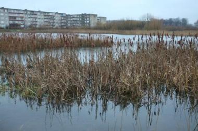 Europos pinigai – tvenkiniams valyti