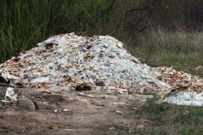 Likviduos: sutvarkyti liuminescencinių lempų duženas kainuos apie 20 tūkst. litų.