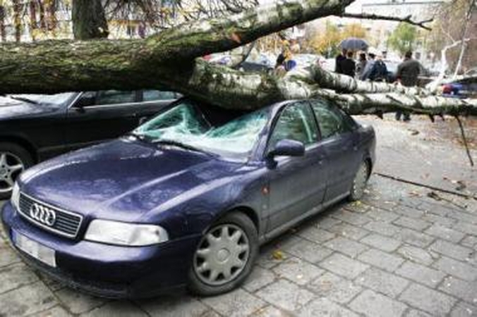 Tradicija: nukentėjusiajam siekis gauti draudimo išmoką beveik visuomet virsta kryžiaus keliais.