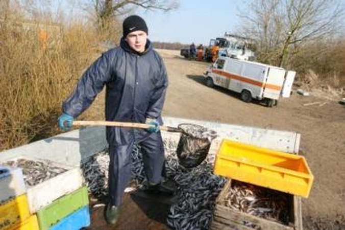 Žvejai mėgėjai ir verslininkai susipliekė