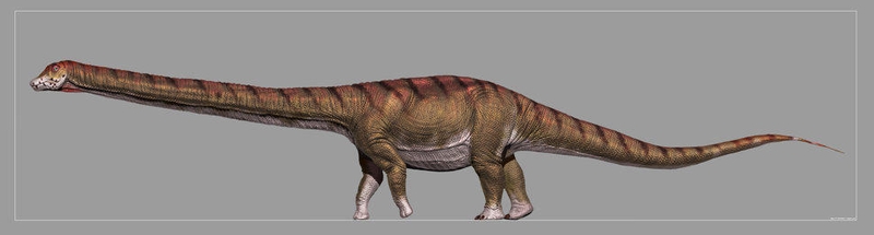 Mokslininkai atrado naują dinozaurų rūšį: milžinai svėrė net 76 tonas