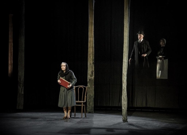 Du J. Miltinio teatro veidai