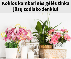 Zodiako ženklai